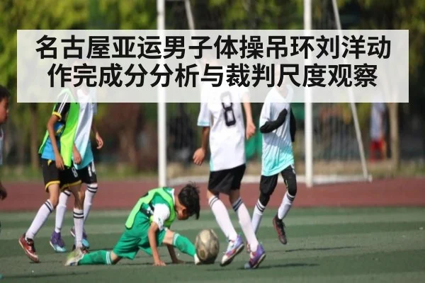 名古屋亚运男子体操吊环刘洋动作完成分分析与裁判尺度观察