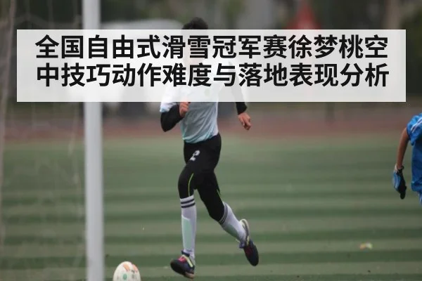 全国自由式滑雪冠军赛徐梦桃空中技巧动作难度与落地表现分析