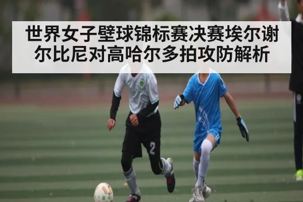 世界女子壁球锦标赛决赛埃尔谢尔比尼对高哈尔多拍攻防解析
